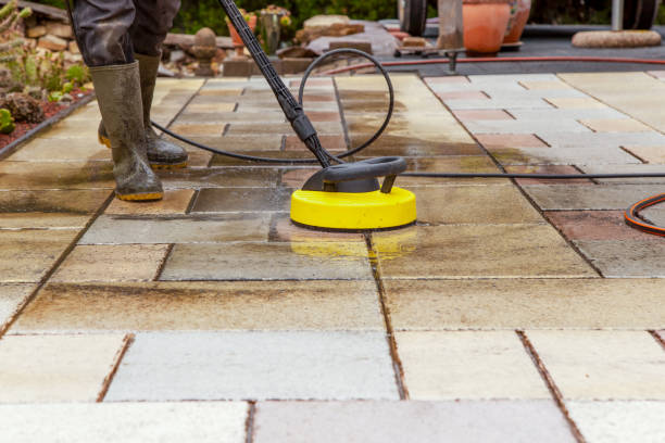 Animal Enclosure Cleaning in Goodwell, OK